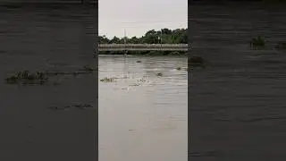 Flood Warning ⚠️ #bangladesh #viral
