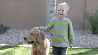Sevenly Stories of Change: 4 Paws For Ability