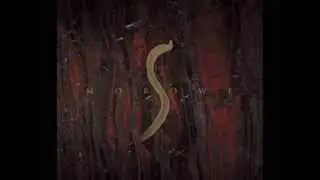 MOROWE - Ważne