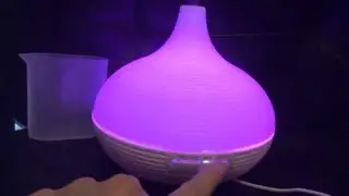 Tepoinn 300ml Aromatherapy Essential Oil Diffuser Cool Mist Humidifier Air Purifier Review