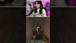 I Played Minecraft With No Damage