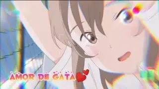 Amor de gata AMV ❤