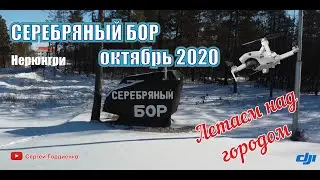 Серебряный Бор Нерюнгри октябрь 2020