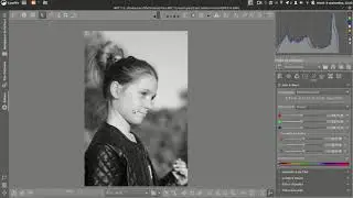 Tuto ART AnotherRawTherapee 12: Le module Noir et Blanc