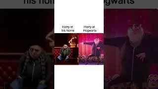 Harry Potter Memes 4 