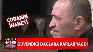 Güvendiği Dağlara Karlar Yağdı! İşte Çobanın İhaneti...