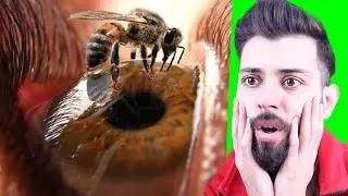 BU VİDEOYU KİMSE SONUNA KADAR İZLEYEMEZ !