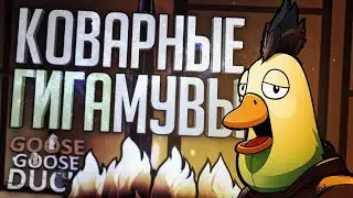 играю со стримером в гусей