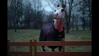 Итоги конкурса! 🎉