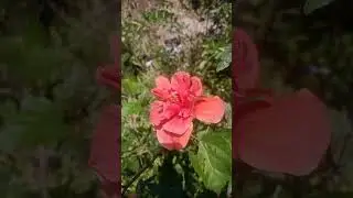 #music
