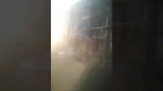 Трюки с Машкой!
