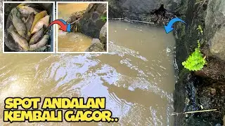 Spot favorite kembali gacor | Mancing nila liar