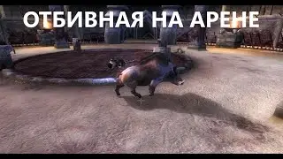 От пса, драчуна до воина (Битва на арене) Отбивная в деле The Elder Scrolls 4: Oblivion #2