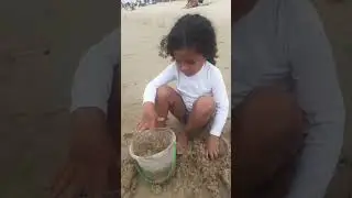 Allyce Na Praia #lucasneto #mariaclaraatibarra #babyshark #vídeosparacrianças #saraiki #saraalikhan