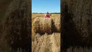 Осень пришла. #shorts #shortvideo #осень #танцы #тренды #рекомендации #природа #красота #топ #россия