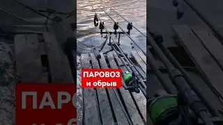 Сумасшедшая поклевка карпа на 24мм бойл 