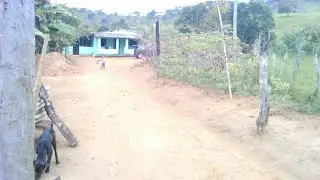 Silvaneo Zuando o Tiozinho na Roça em Cubas