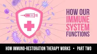 How ImmunoRestoration(R) Therapy Works PART 2 | Pennies in Action