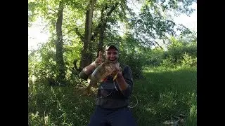ОГРОМНЫЙ ОКУНЬ НА ПОППЕР/ПЕЧЁМ РЫБУ НА КОСТРЕ