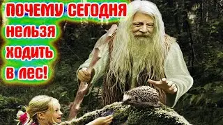 Какой сегодня праздник и приметы на 17 октября.