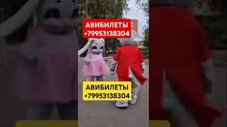 АВИБИЛЕТЫ +79953138304 #automobile #youtube #tiktok #avto #дуэт