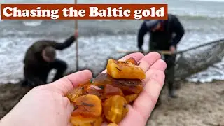 The Hunt for the Glittering Baltic Gold