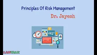 Risk Management VI - Principles of Risk Management