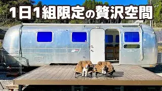 キャンプ未経験の義母と一緒にドッグラン付きエアストリームでゆるゆるキャンプ【トレーラーハウス】