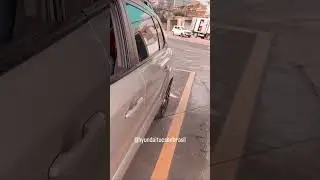 Tucson é beberrão? | Hyundai Tucson Brasil