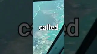 Are pilots allowed to take naps while flying? 
