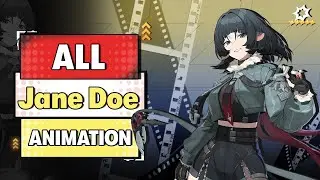 Jane Doe Combat Animations (Early Access Preview)