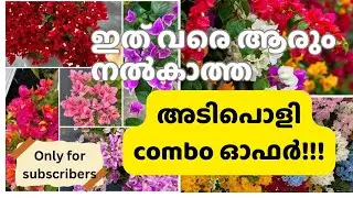 Hybrid Bougainville Super combo for subscribers