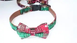 Cat and puppy Christmas series collar