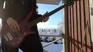 "Darkside of Aquarius" Bruce Dickinson bass cover
