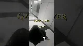 Mestre ensinador em busca do item especial kkkk #gnomo #meme #humor #mestreensinador #rpg