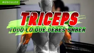 TRICEPS | Guía completa para entrenarlos
