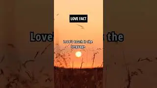 Love Fact : The Language That Speaks Directly to the Heart  