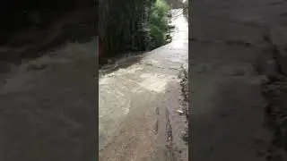 Здравствуй Сочи , Новый год 🎄🌊🌴