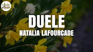 Natalia Lafourcade - Duele (Letra)