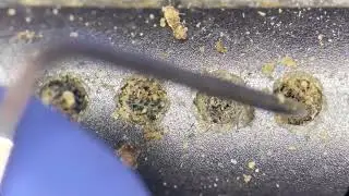 Satisfying iPhone 8 Plus cleaning under the microscope at Phone Fix Craft