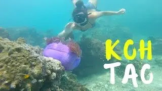 Koh Tao Thailand | A DAY IN PARADISE!