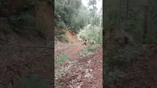Fun ride lata mentagan.. 2k17 felcra sri makmur.(