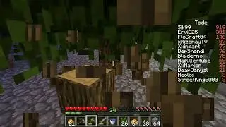 ZAP #947 Stein für Übderdachung besorgen & Massig Holz für Brennstoffe  ! TinyAura 5