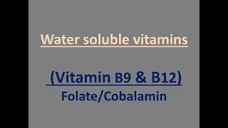 What is Vitamin B9 & B12 #vitaminb9 #cobalamin #vitaminb12