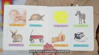 Baby’s First Sounds Book
