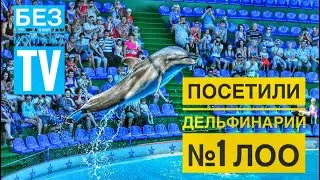 МЫ В СОЧИ / СХОДИЛИ В ДЕЛЬФИНАРИИ №1 ЛОО