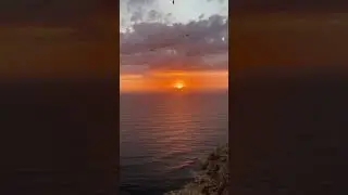 Шум Моря Крики Чаек и Великолепная Музыка 🎵 1 min relax #shorts