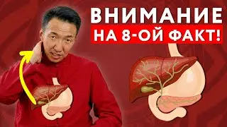 8 ФАКТОВ О ЖЕЛЧИ, которые необходимо знать КАЖДОМУ! // #докторжимба