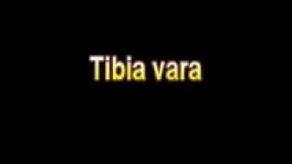 What Is The Definition Of Tibia vara
