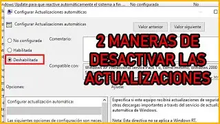⛔️Disable Windows 10 Automatic Updates permanently | Disabled Windows Update